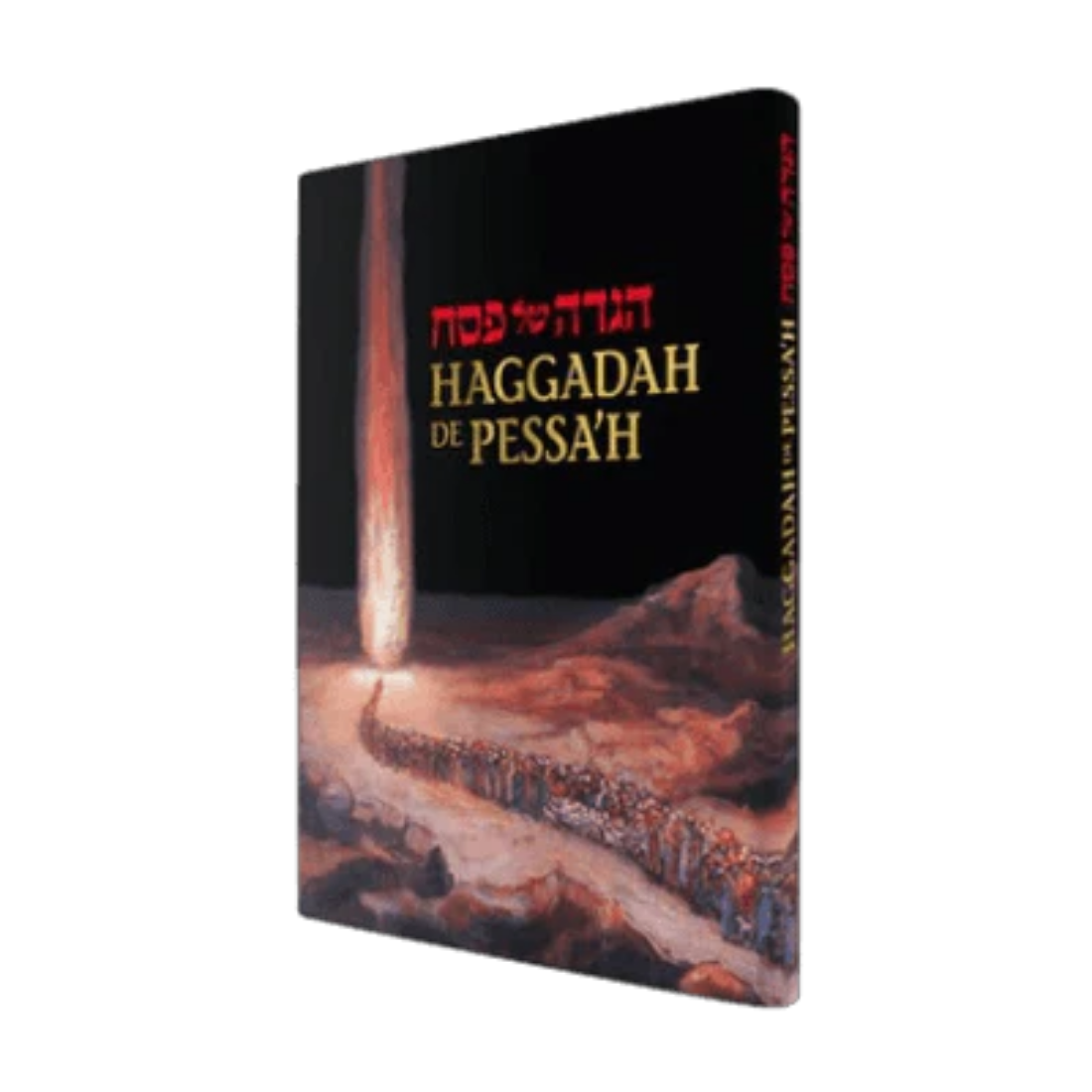 Précommande- Haggadah de Pessa’h